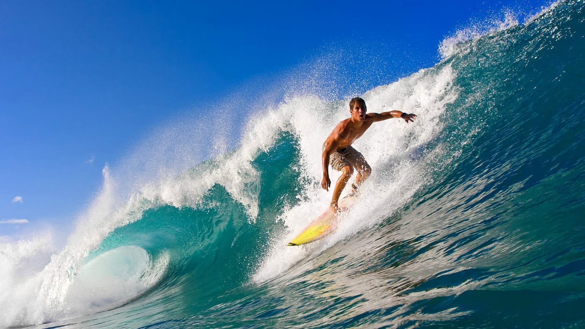 爱游戏登录入口-美洲杯火热开战：球员实力与团队默契的比拼，美洲杯实力分析